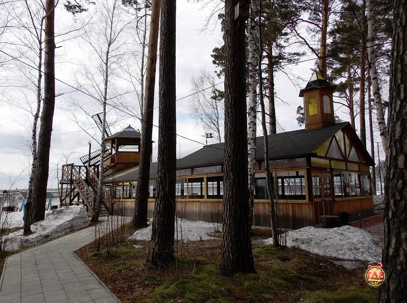 Млечный путь фотография №19