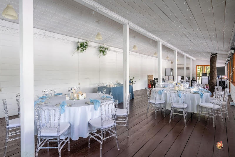 Гуси-Лебеди фотография № 1