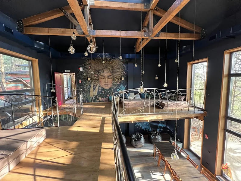 Гнездо фотография №3