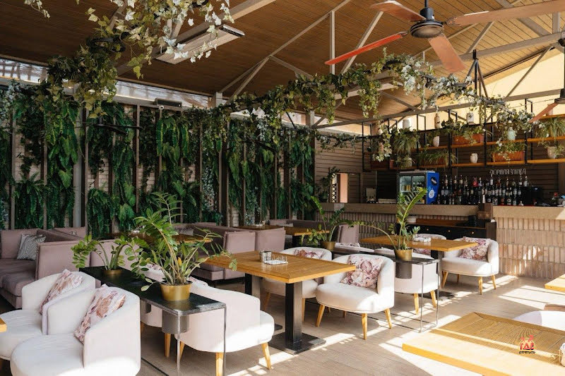 Чёрная утка фотография №5