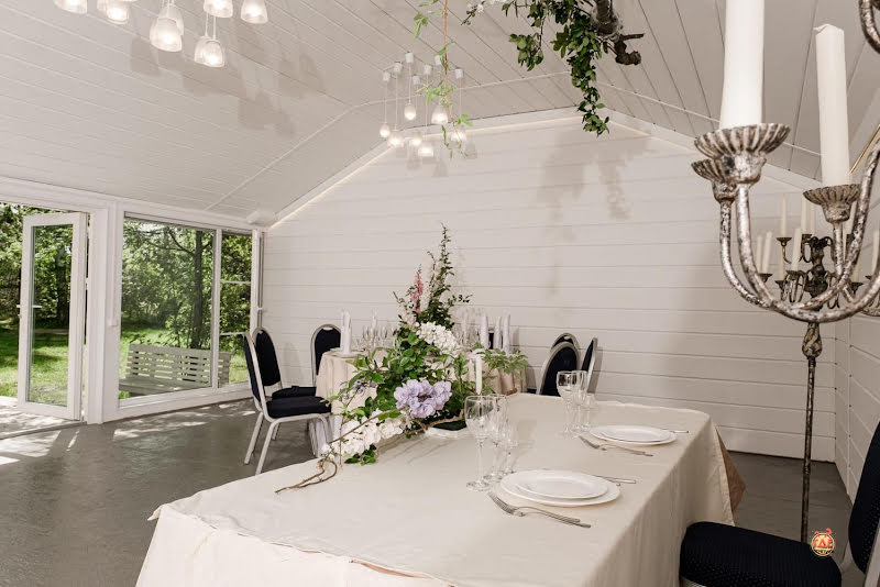 Гуси-Лебеди фотография №17