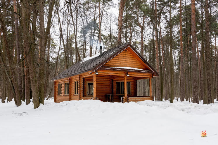 Домик в «Дворянское гнездо» фотография №4