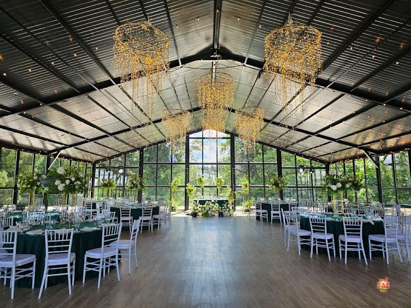 Дивный Лес фотография №12