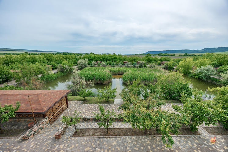 Терраса  в «Маркур» фотография №3