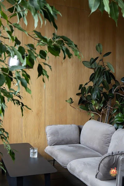 STG cafe фотография №7