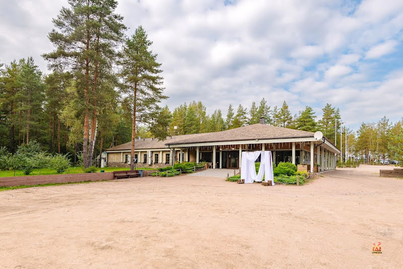 Лес фотография №9