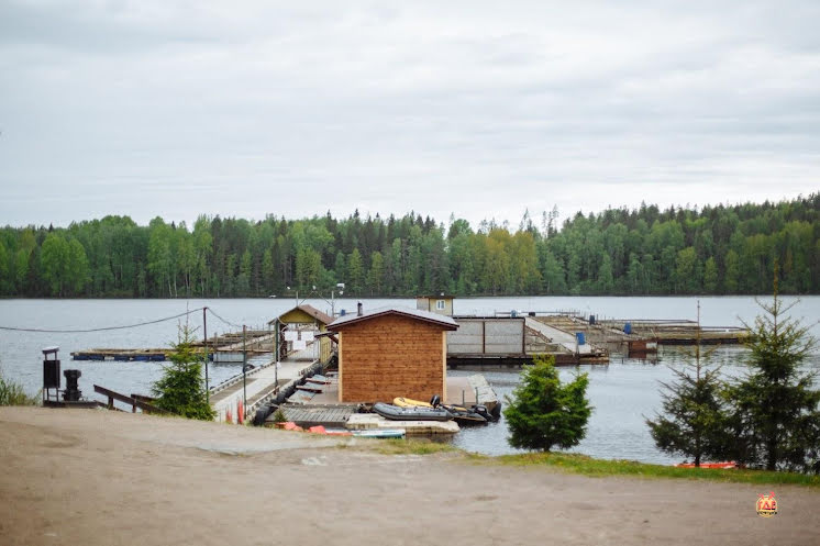 Ресторан "Дом охотника" в «Бородинское» фотография №9