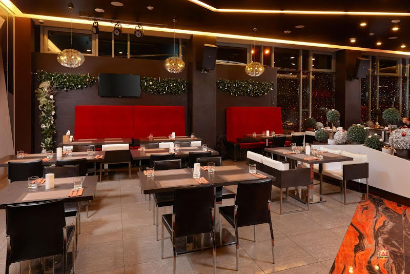 Сова фотография №11