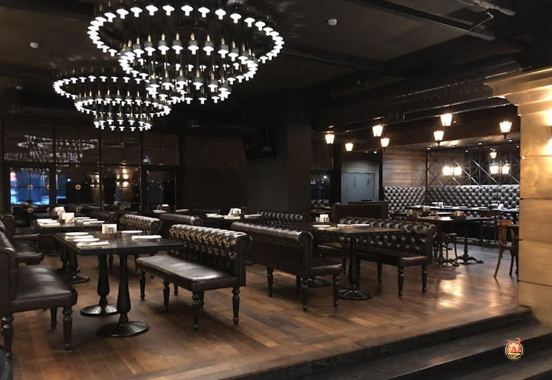 Чёрная утка фотография № 1