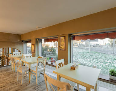 День рождения в LIDO