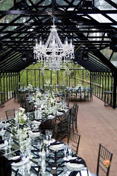 Forest Dew фотография №1