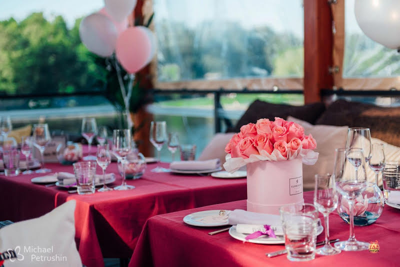 Чайка фотография №6