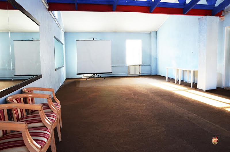 Чайка фотография №19