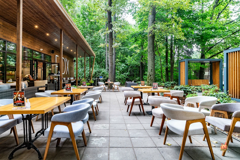 Fox фотография №14