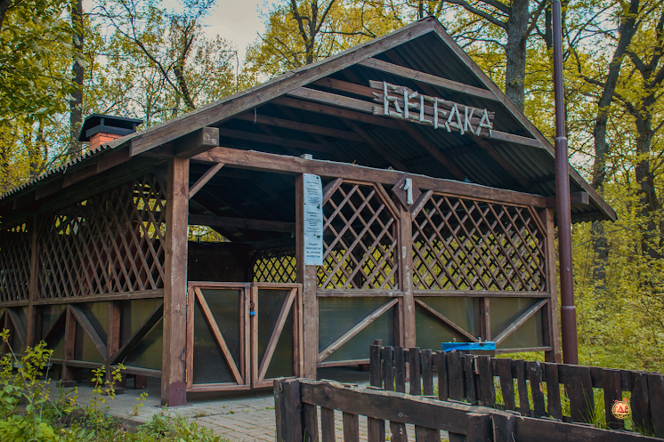 Беседки (8 штук) в «Лукоморье» фотография №11