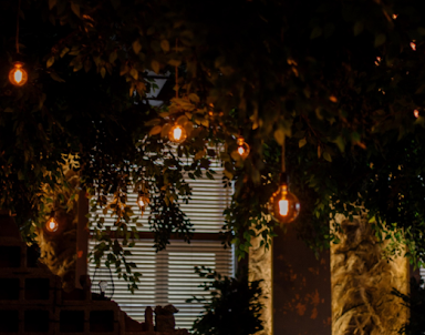  ресторан Tree Lounge