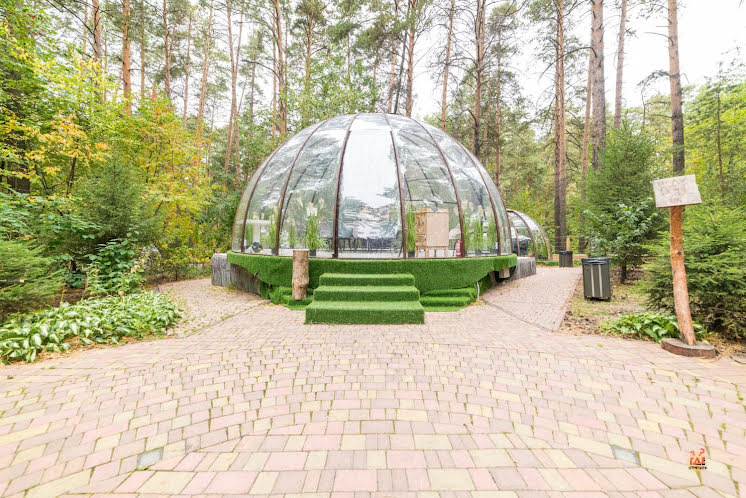 Иглу  в «Хвоя» фотография №5