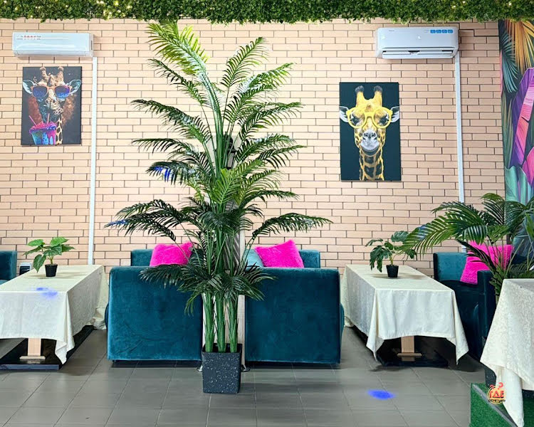 Каррера фотография №6