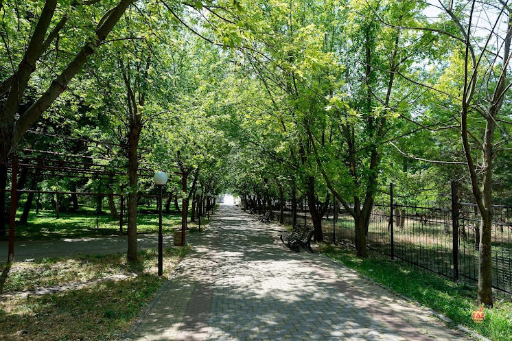 Малый зал в «Надежда» фотография №7