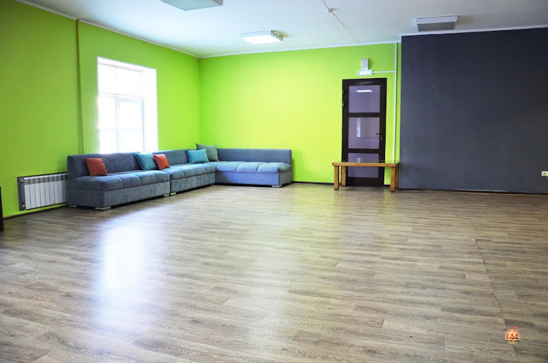 Чайка фотография №19