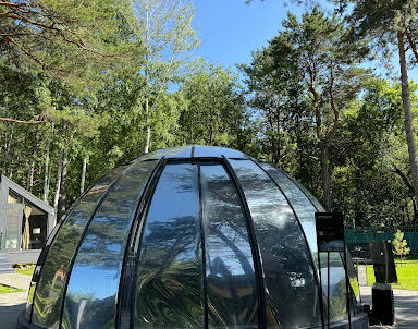 Новый год в Парк-отель  «Сосновый бор»