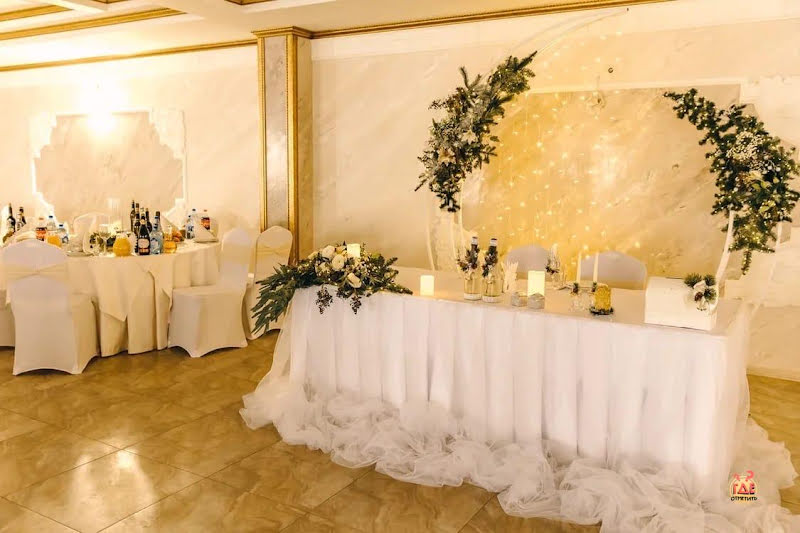 Чайка фотография №13