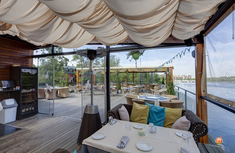 Чайка фотография №8