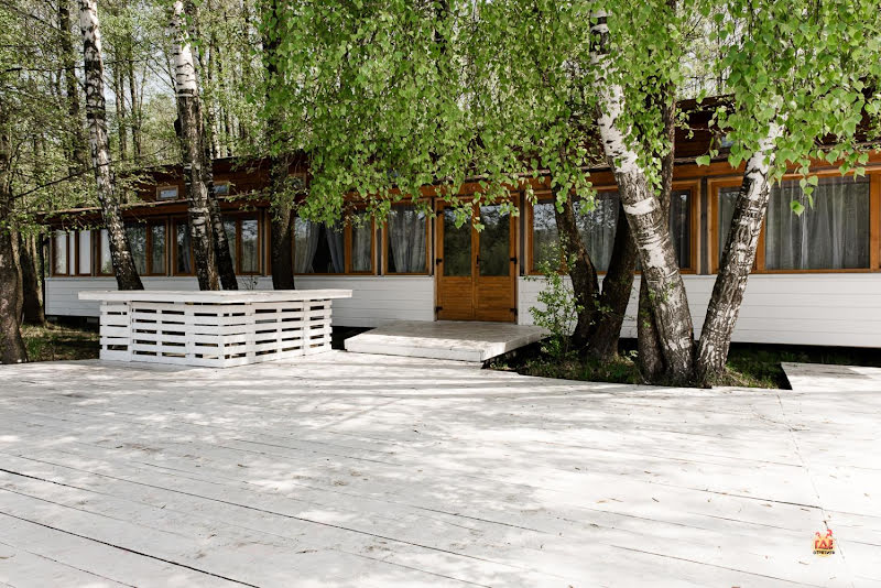 Гуси-Лебеди фотография №16