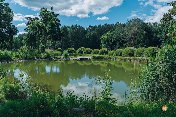 Малый зал в «Ропшинская Рапсодия» фотография №7