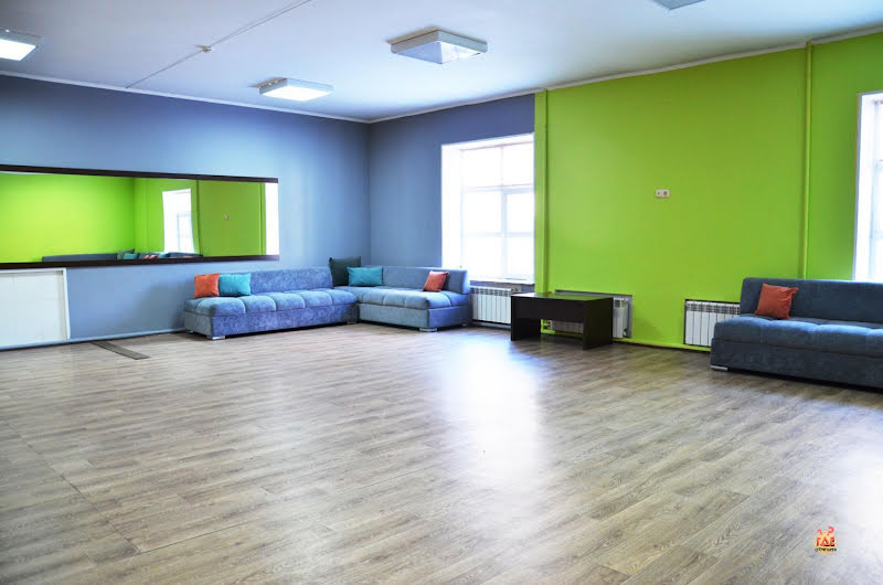 Чайка фотография №17