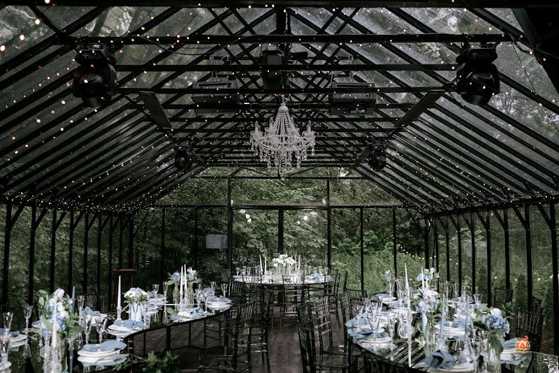 Forest Dew фотография №5