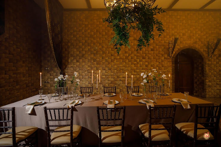 Каминный зал в «Резиденция Сагиттариус» фотография №1