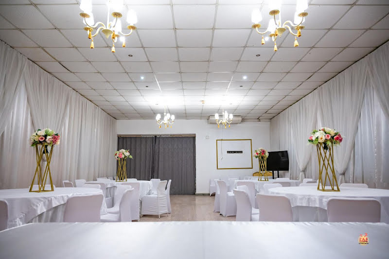 Чайка фотография №19