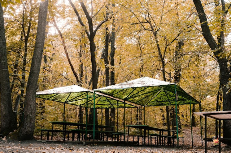 Беседки в «Лесная Крепость» фотография №4