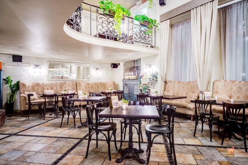 Сенполия фотография №6