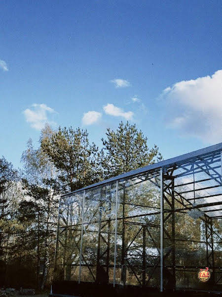 Сиреневая аллея фотография №17