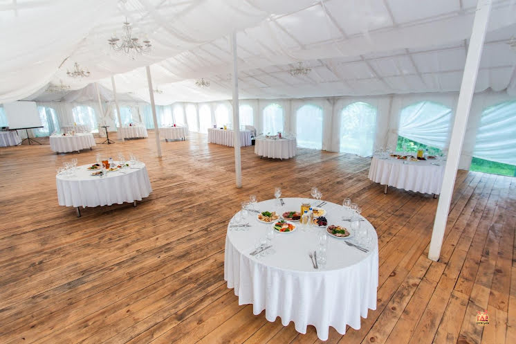 Большой шатер в «Лесные Дали» фотография №11