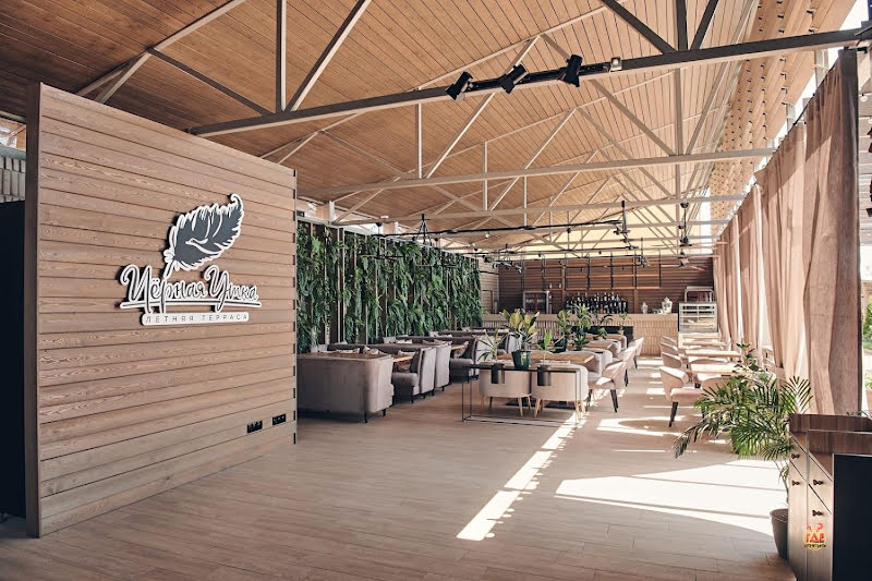 Чёрная утка фотография №1