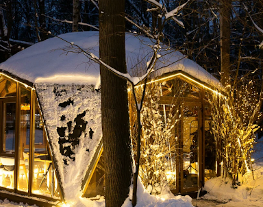 Свадьба в Fox