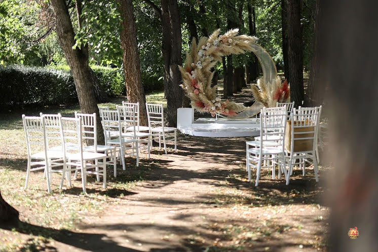 Аллея деревьев в «MORE AMORE» фотография №1