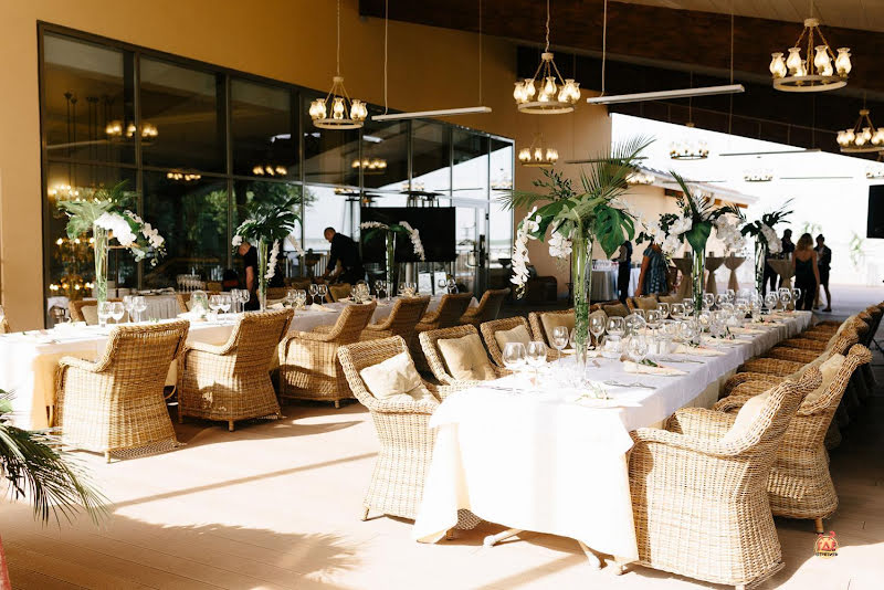 Березка фотография №12