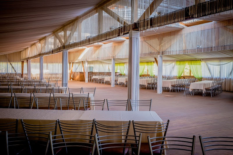 Иволга фотография №13