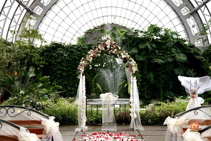 Оранжерея Таврического Сада фотография №16