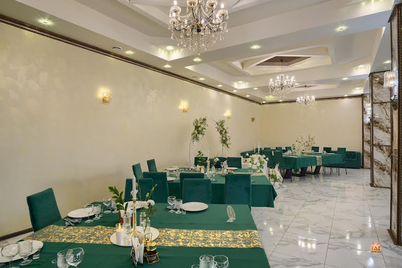 Lion фотография №7