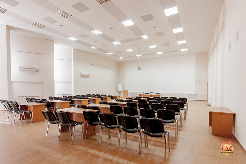 Иволга фотография №10