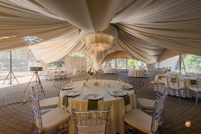 Наша Хвоя фотография №2