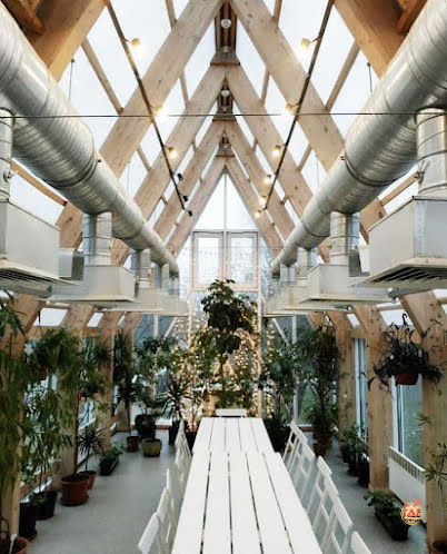 Левая и правая оранжерея  в «Городская Ферма» фотография №13