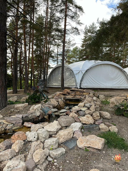 Алсма фотография №11