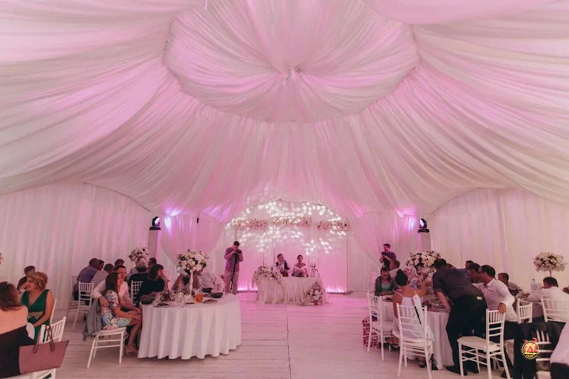 Алсма фотография № 1