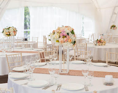  ресторан Тропикана Парк